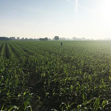 빌라 Large With Park