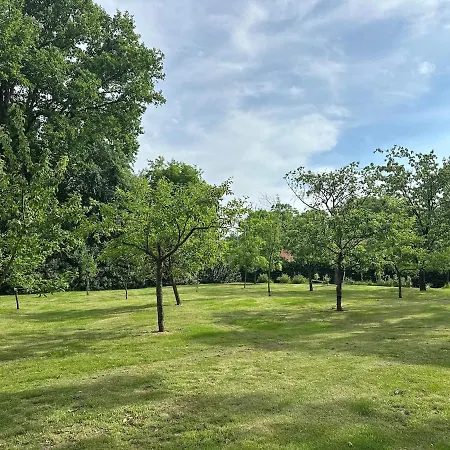 Large With Park