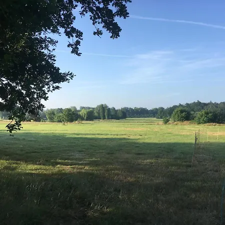 Large With Park *
