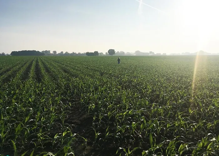 빌라 Large With Park