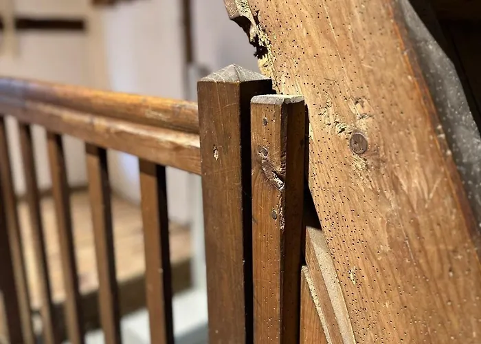 Large With Park Villa *